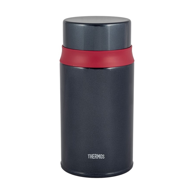 Термос для еды THERMOS TCLD-720S 0.72L, складная ложка, синий купить по оптимальной цене,  доставка по России, гарантия качества