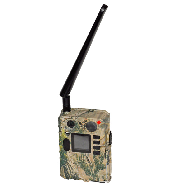 Фотоловушка Boly Guard BG710-M 24mHD Camo купить по оптимальной цене,  доставка по России, гарантия качества